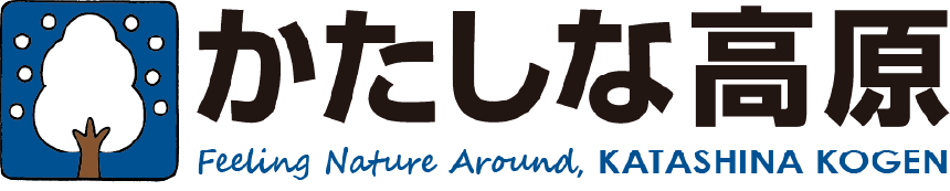 かたしな高原スキー場